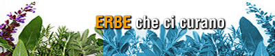 erbe per curarsi